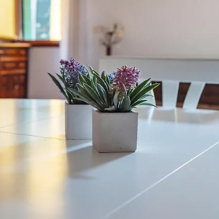 Appartement Island *