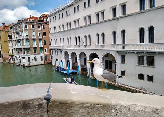 Island Апартаменты Венеция