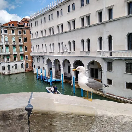 Island شقة البندقية