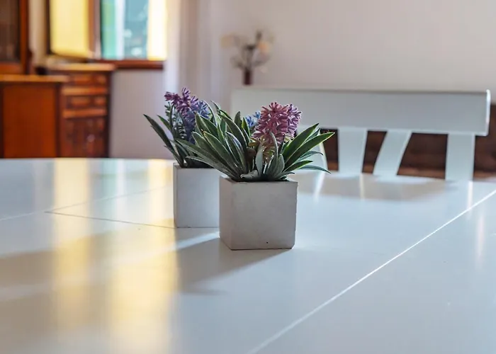 Apartmán Island *